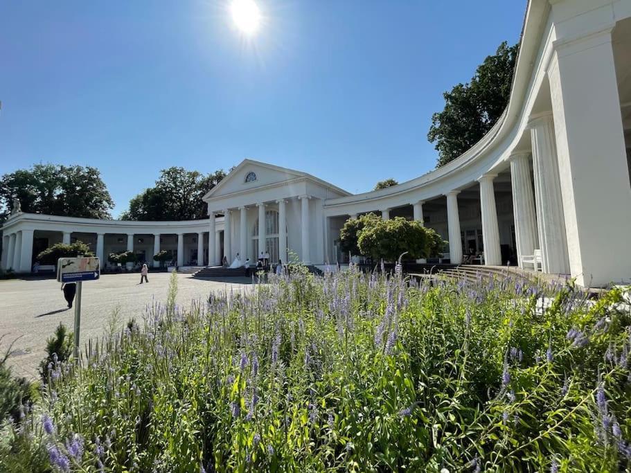 Stadt-Oase - Kostenlos Parken, Ruhig, Kliniken, Gop, Bali-Therme, Boxspringbett Bad Oeynhausen Bagian luar foto